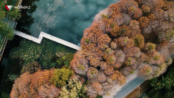 一鍵拍攝短片, 輕松玩轉 一鍵拍攝短片, 輕松玩轉